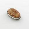 Silver Mounted Cowrie Shell Snuff Box c1800
