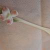 Porcelain Blossom Snuff Spoon