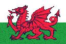 Y DDRAIG GOCH